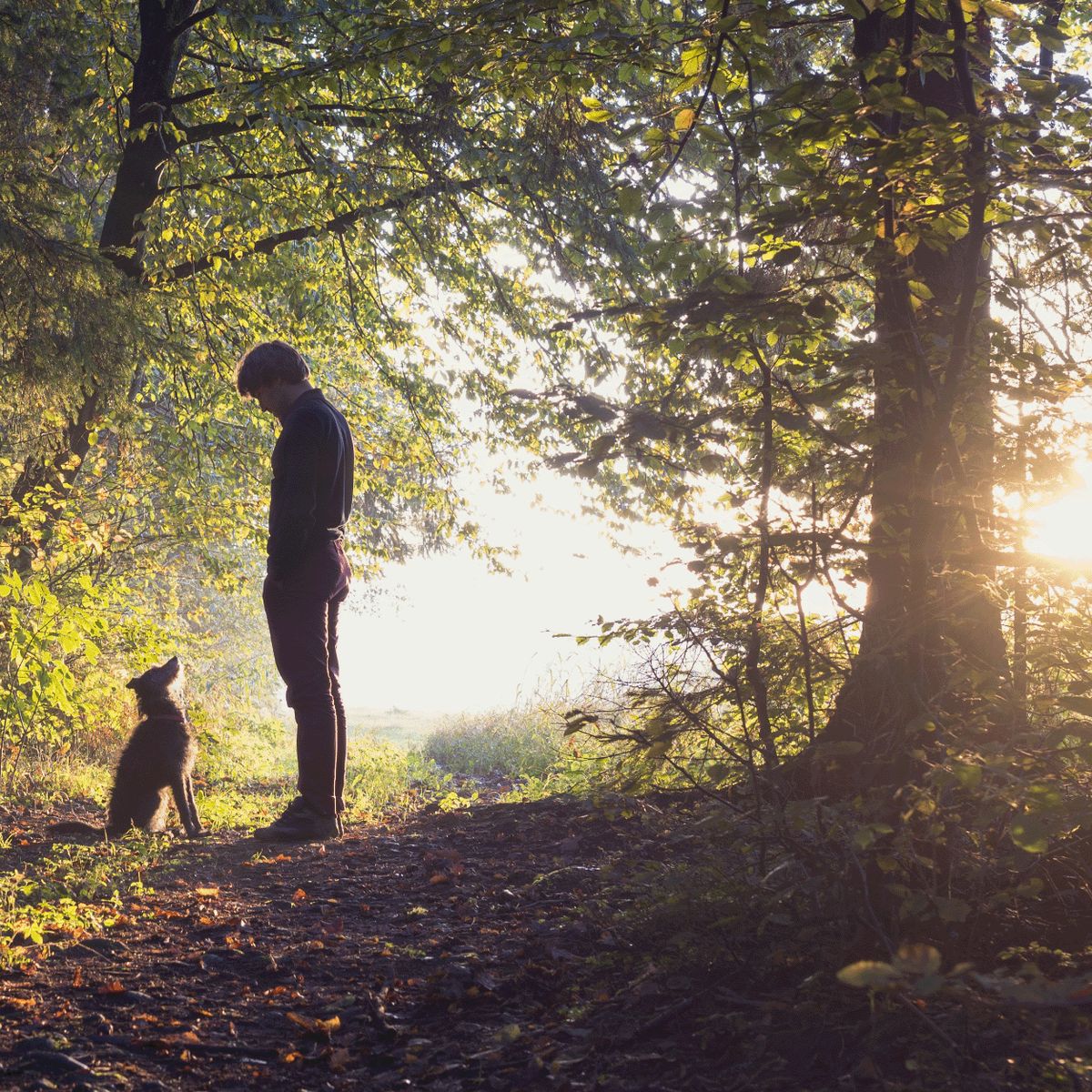 A therapist providing online therapy services